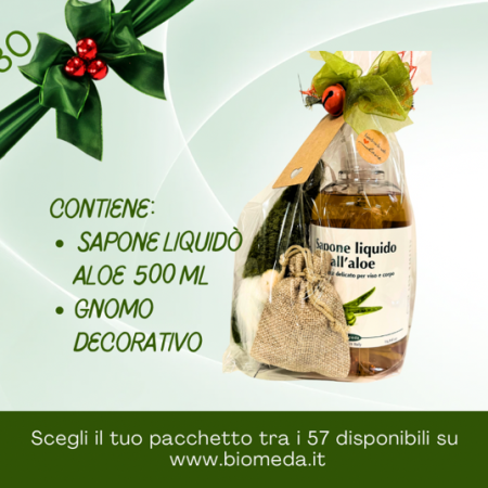 sapone liquido aloe in confezione da 500 ml , con gnomo decorativo